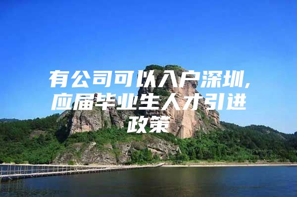 有公司可以入户深圳,应届毕业生人才引进政策