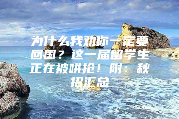 为什么我劝你一定要回国？这一届留学生正在被哄抢！附：秋招汇总