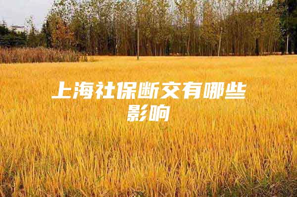 上海社保断交有哪些影响