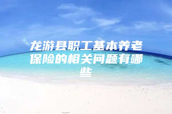 龙游县职工基本养老保险的相关问题有哪些
