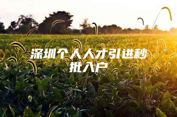 深圳个人人才引进秒批入户