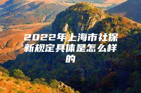 2022年上海市社保新规定具体是怎么样的