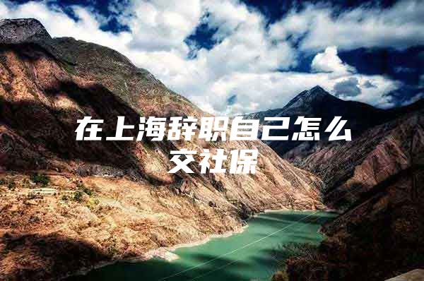 在上海辞职自己怎么交社保