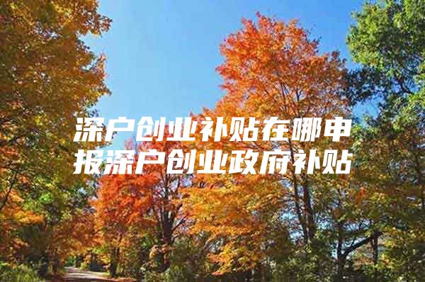 深户创业补贴在哪申报深户创业政府补贴
