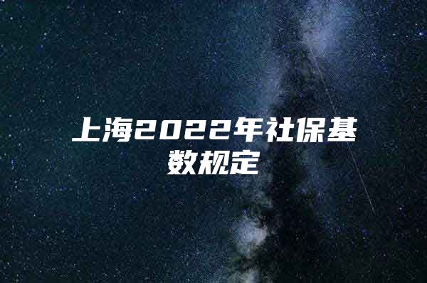上海2022年社保基数规定
