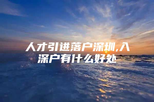 人才引进落户深圳,入深户有什么好处