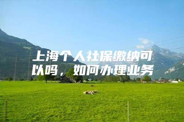 上海个人社保缴纳可以吗，如何办理业务