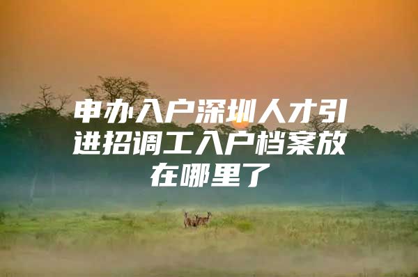 申办入户深圳人才引进招调工入户档案放在哪里了