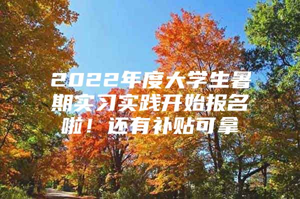 2022年度大学生暑期实习实践开始报名啦！还有补贴可拿→