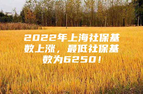 2022年上海社保基数上涨，最低社保基数为6250！