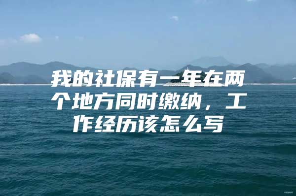 我的社保有一年在两个地方同时缴纳，工作经历该怎么写