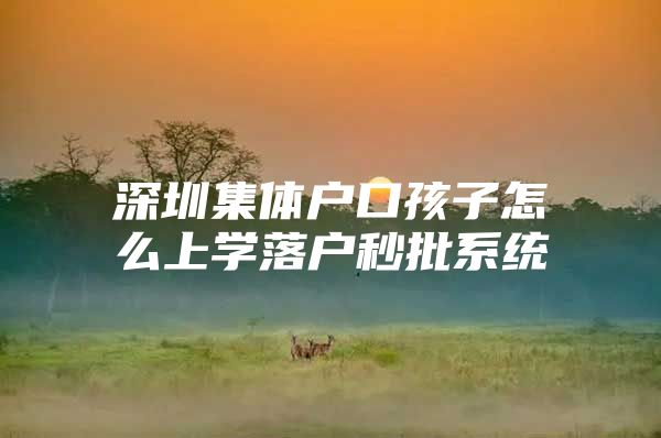 深圳集体户口孩子怎么上学落户秒批系统