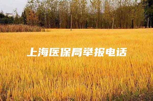 上海医保局举报电话