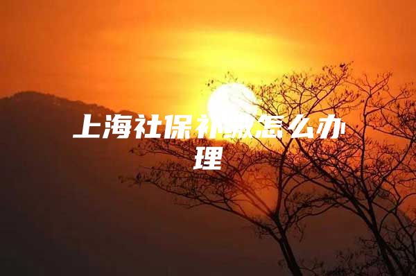 上海社保补缴怎么办理