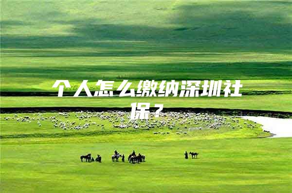 个人怎么缴纳深圳社保？
