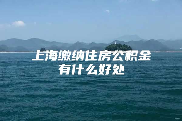 上海缴纳住房公积金有什么好处