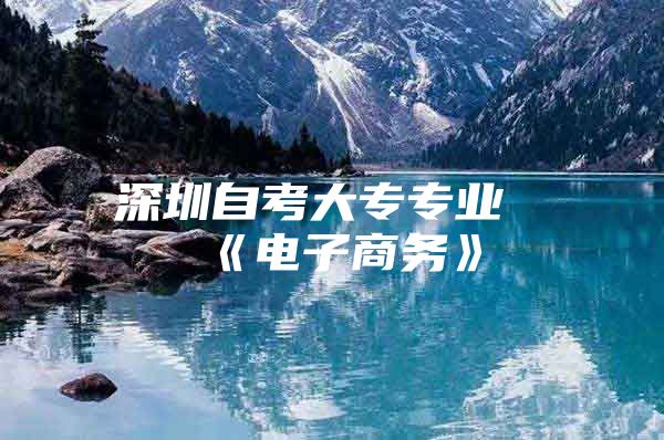 深圳自考大专专业《电子商务》