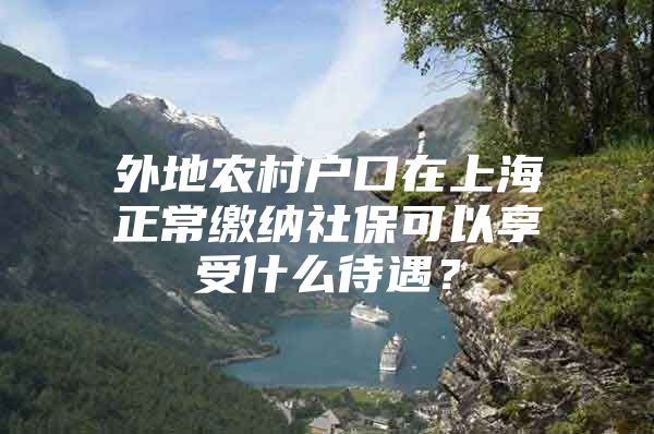 外地农村户口在上海正常缴纳社保可以享受什么待遇？