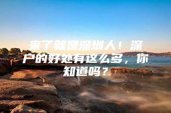 来了就是深圳人！深户的好处有这么多，你知道吗？