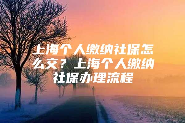 上海个人缴纳社保怎么交？上海个人缴纳社保办理流程