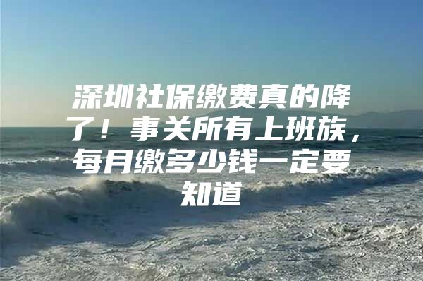 深圳社保缴费真的降了！事关所有上班族，每月缴多少钱一定要知道