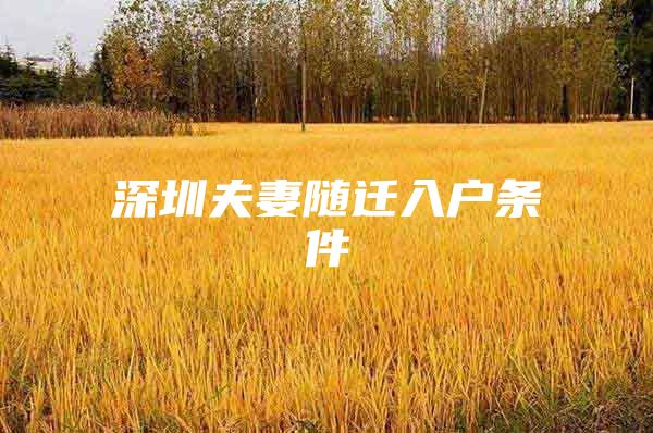 深圳夫妻随迁入户条件