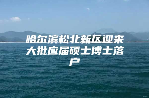 哈尔滨松北新区迎来大批应届硕士博士落户