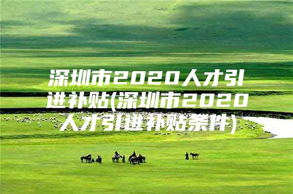 深圳市2020人才引进补贴(深圳市2020人才引进补贴条件)