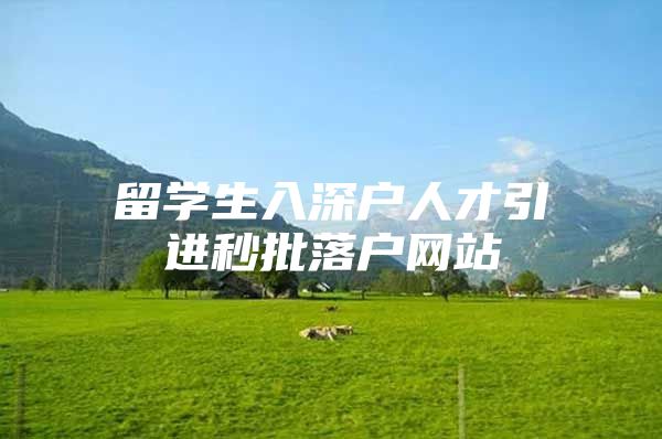 留学生入深户人才引进秒批落户网站