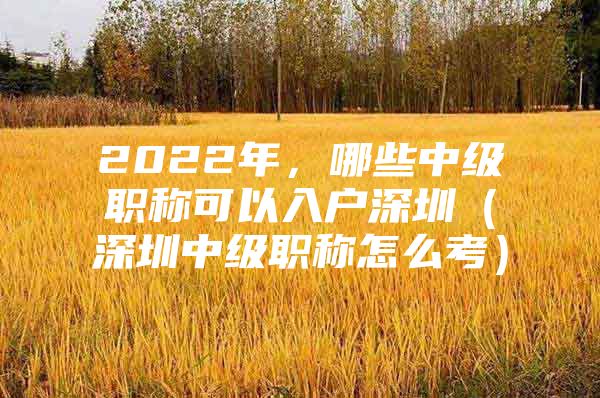 2022年，哪些中级职称可以入户深圳（深圳中级职称怎么考）