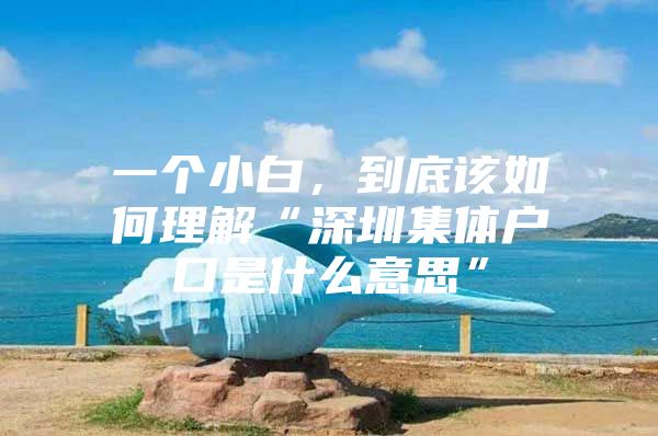 一个小白，到底该如何理解“深圳集体户口是什么意思”