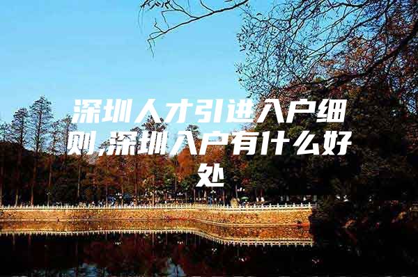 深圳人才引进入户细则,深圳入户有什么好处