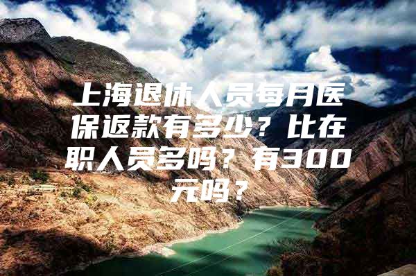 上海退休人员每月医保返款有多少？比在职人员多吗？有300元吗？