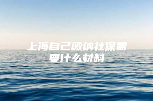 上海自己缴纳社保需要什么材料