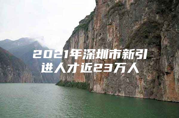2021年深圳市新引进人才近23万人