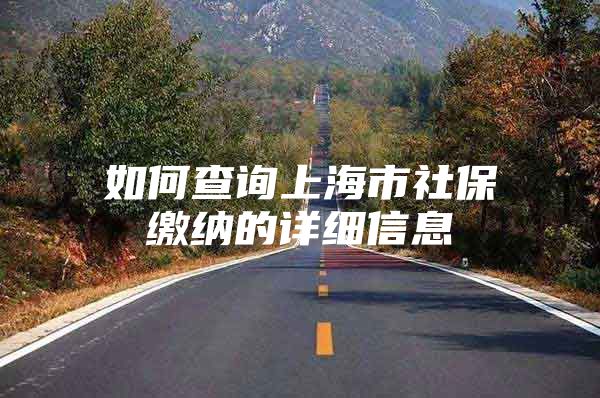 如何查询上海市社保缴纳的详细信息