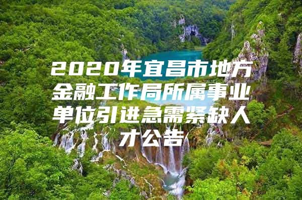 2020年宜昌市地方金融工作局所属事业单位引进急需紧缺人才公告