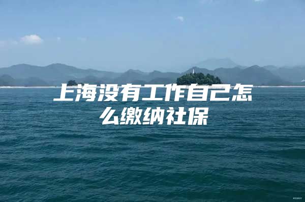 上海没有工作自己怎么缴纳社保