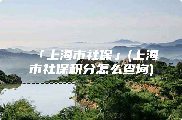 「上海市社保」(上海市社保积分怎么查询)