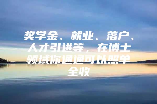 奖学金、就业、落户、人才引进等，在博士领域你通通可以照单全收