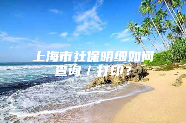上海市社保明细如何查询／打印？
