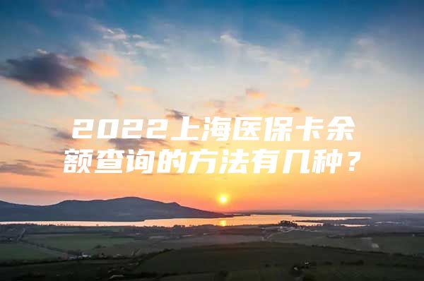 2022上海医保卡余额查询的方法有几种？