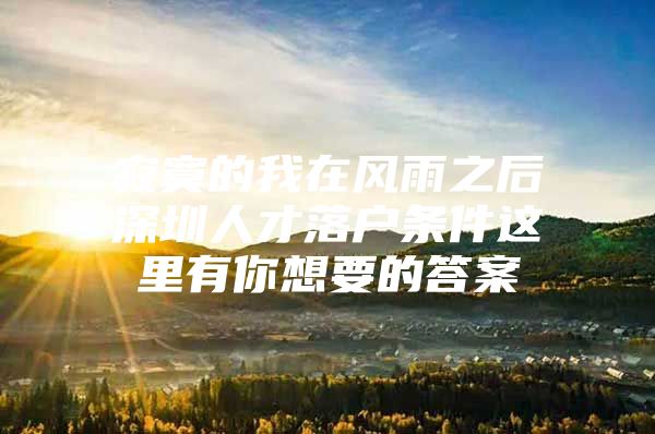 寂寞的我在风雨之后深圳人才落户条件这里有你想要的答案