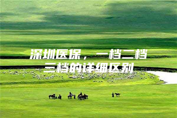 深圳医保，一档二档三档的详细区别