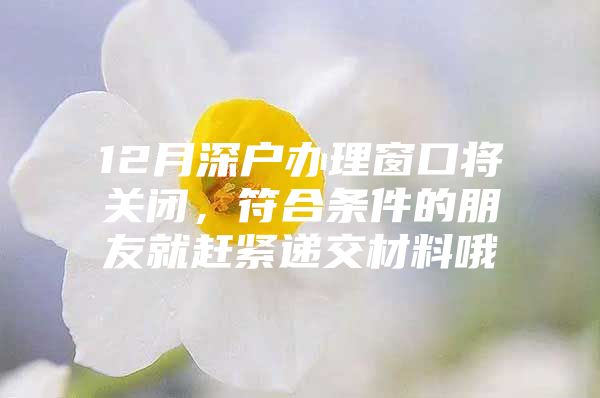 12月深户办理窗口将关闭，符合条件的朋友就赶紧递交材料哦