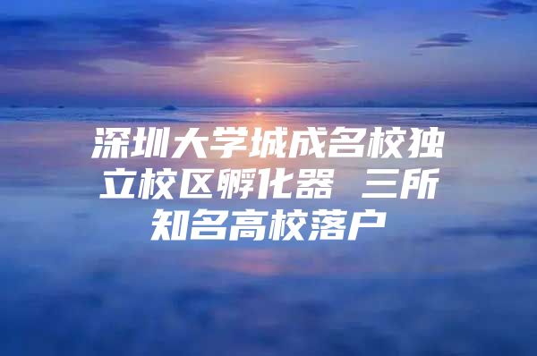 深圳大学城成名校独立校区孵化器 三所知名高校落户
