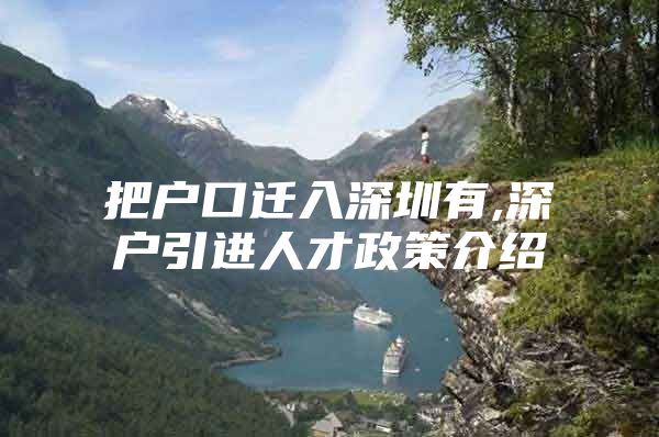 把户口迁入深圳有,深户引进人才政策介绍