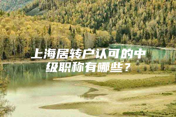 上海居转户认可的中级职称有哪些？