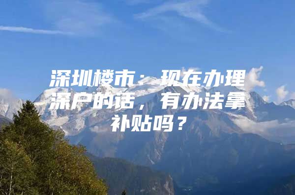 深圳楼市：现在办理深户的话，有办法拿补贴吗？