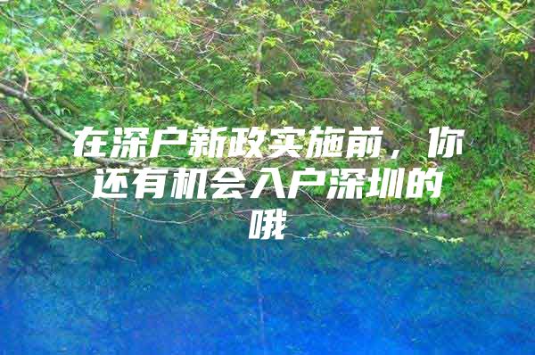 在深户新政实施前，你还有机会入户深圳的哦